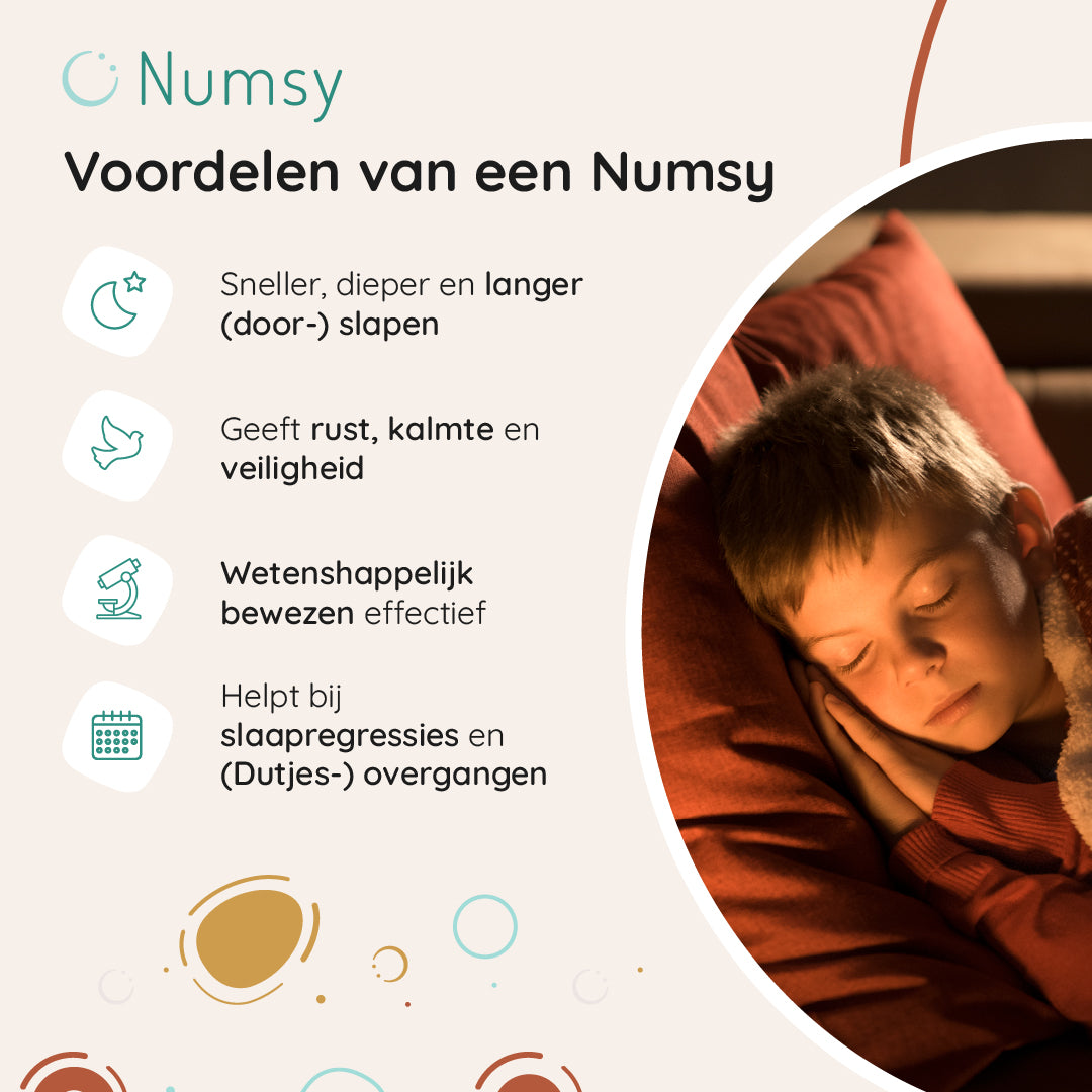 Numsy Slaaptrainer Lou
