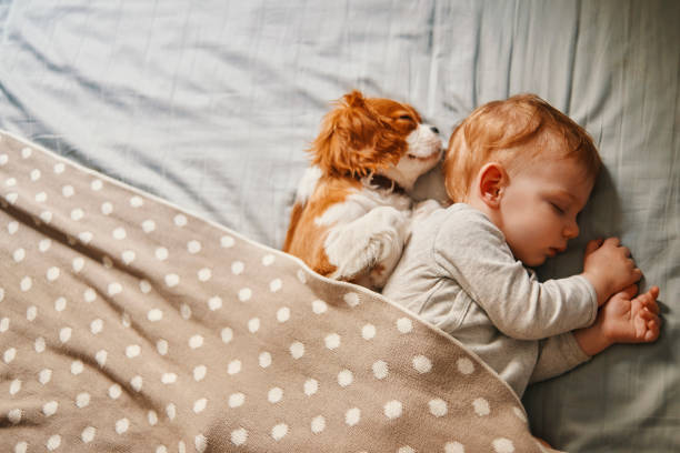 Baby napping