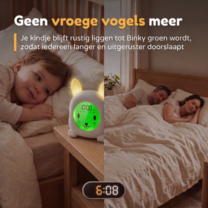 Numsy Slaaptrainer Binky