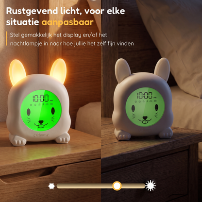 Numsy Slaaptrainer Binky