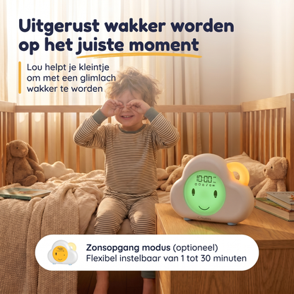 Numsy Slaaptrainer Lou 2.0